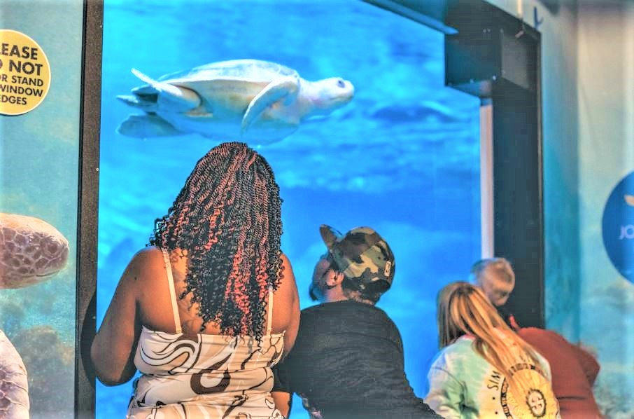 Clearwater Maring Aquarium